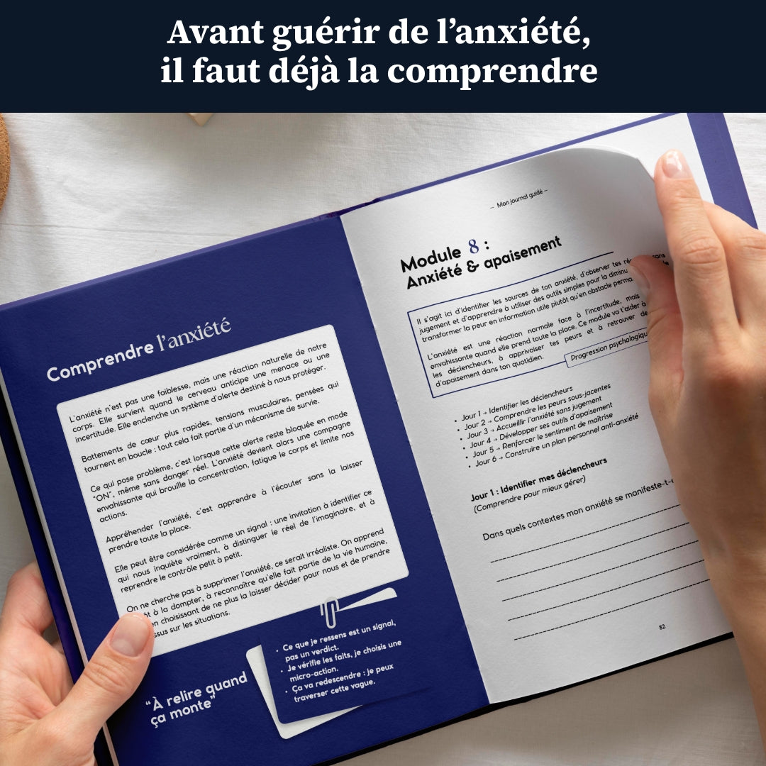 Mon journal guidé - guérir de l'anxiété, burn-out, rupture..